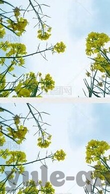 以色列对波兰足球比分-以色列与波兰足球对决，比分背后的战术博弈与历史恩怨
